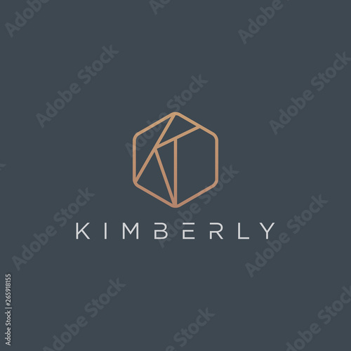 Initial K Logo - Vector logo template