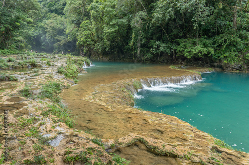 river in the forest