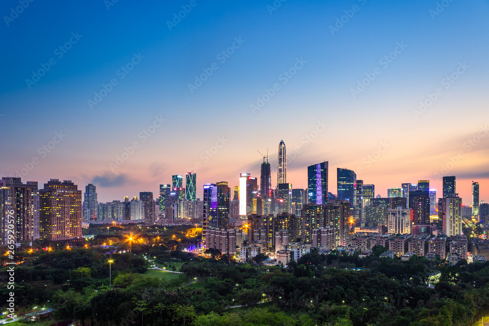 Shenzhen City Center City Scenery Skyline