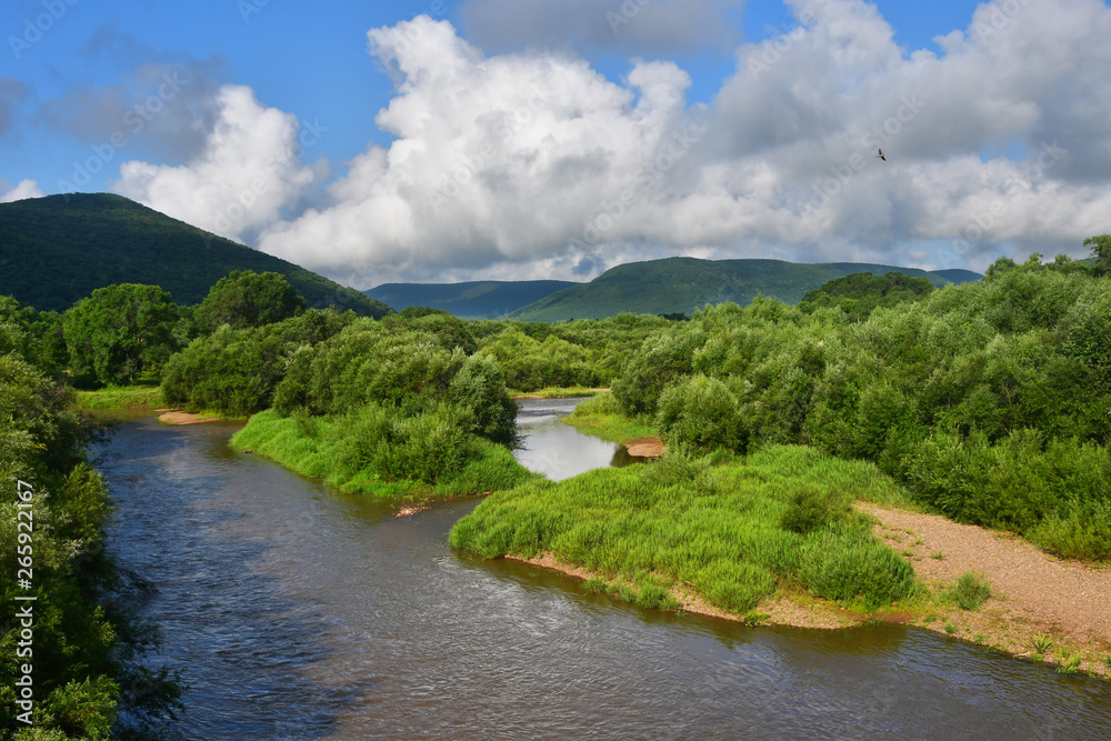 Russia, Primorsky Krai, river Arsenievka (Arsenyevka) in summer