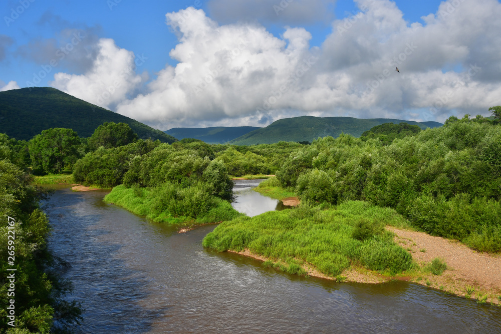 Russia, Primorsky Krai, river Arsenievka (Arsenyevka) in summer Russia, Primorsky Krai, river Arsenievka (Arsenyevka) in summer
