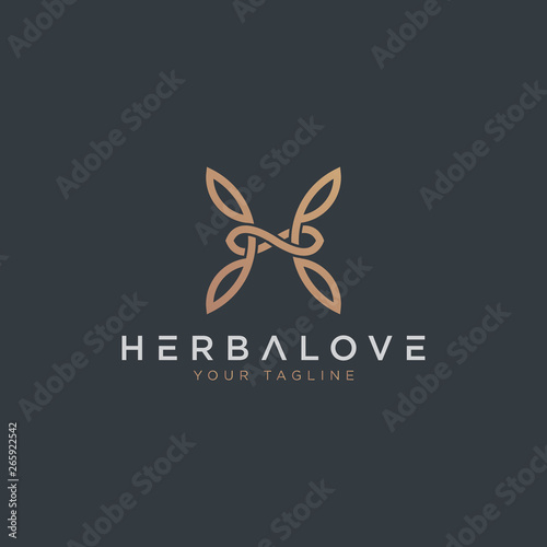 Sophisticated H Logo - Vector logo template