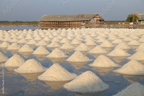 Sea salt in salt farm ready for harvest at Ban Laem  Phetchaburi Province  Thailand