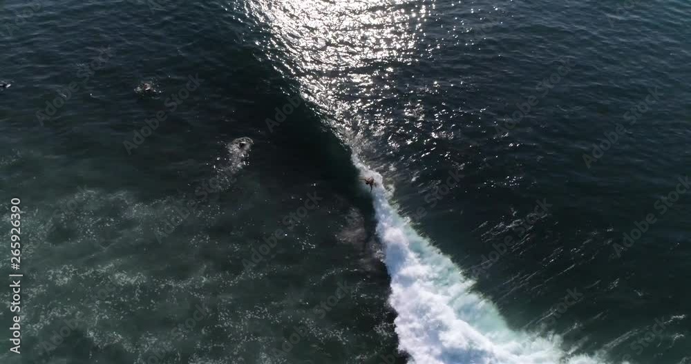 Amazing aerial video of surfer riding wave from above. Airflow Creations travel and sports collection featuring on the longest waves in the world. Central America summer travel destination. Amazing aerial video of surfer riding wave from above. Airflow Creations travel and sports collection featuring on the longest waves in the world. Central America summer travel destination.
