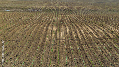 Tilled soil on farm with rural landscape, western United States