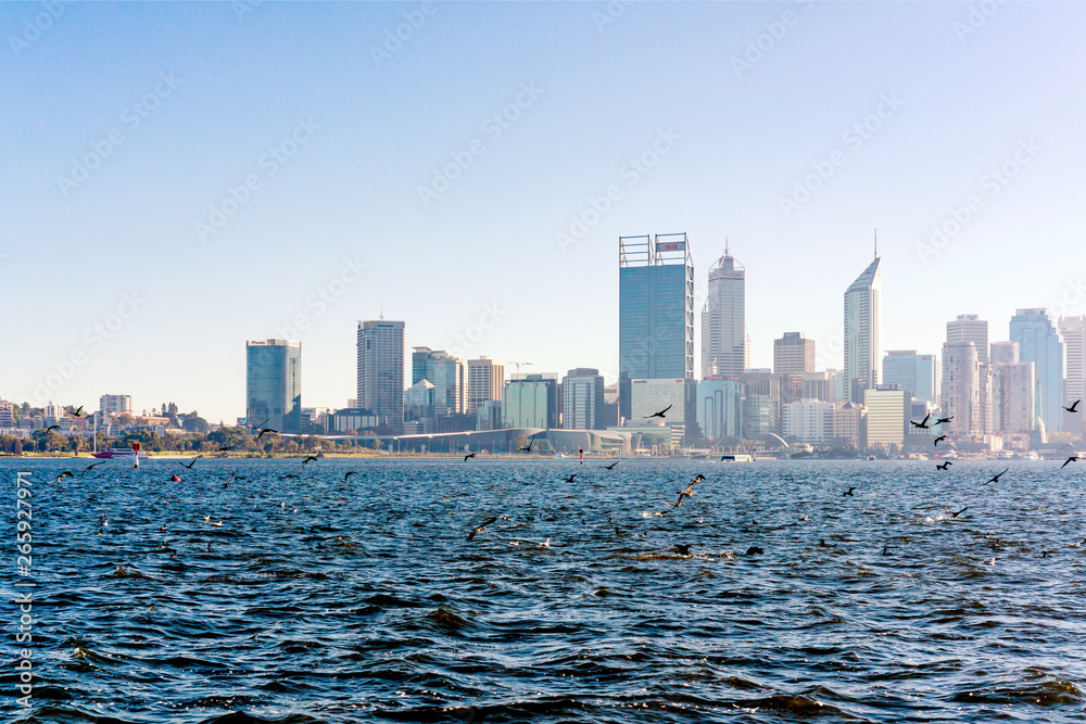 Fototapeta premium Perth City skyline viewed from South Perth in early morning sunlight.
