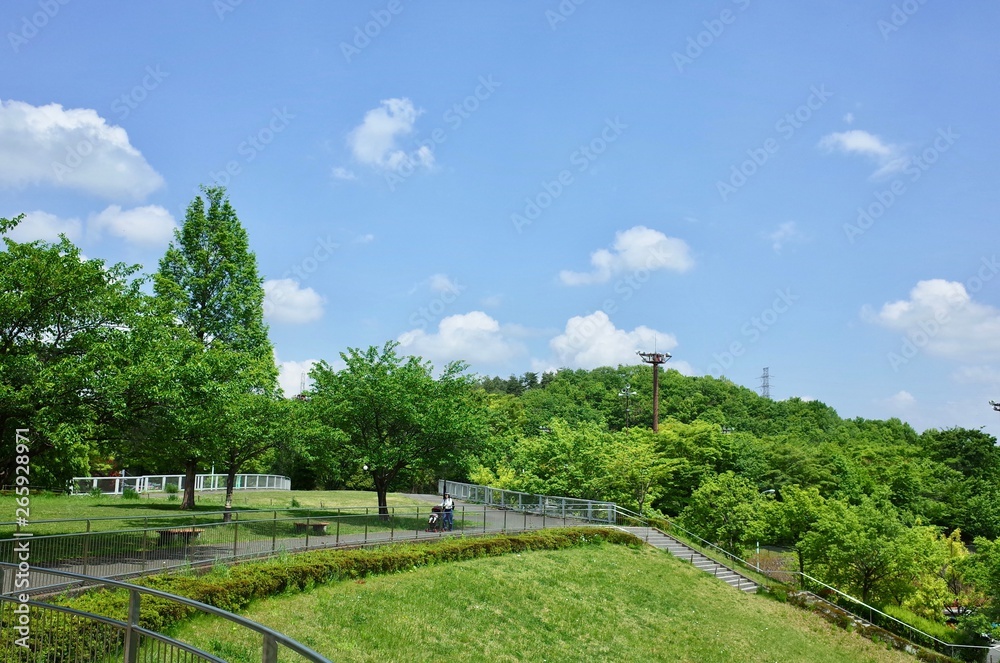 春の青空