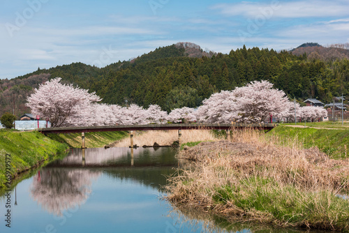 Yoshino Yama is a sacred site of 