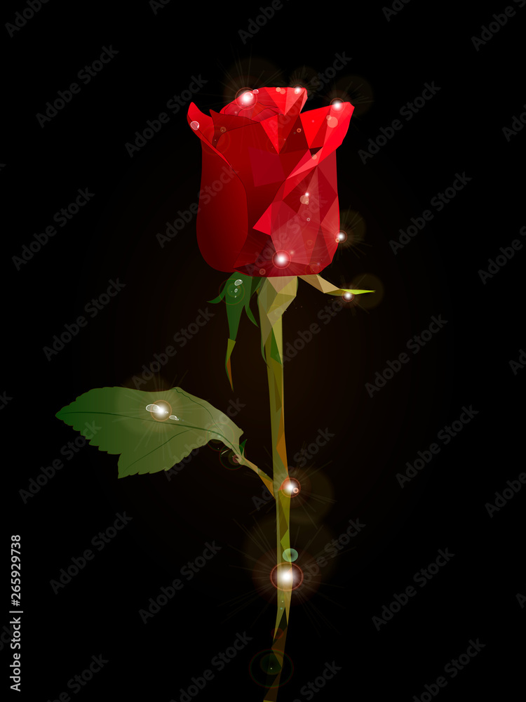 Obraz premium Precious flower