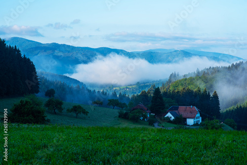 Black Forest. Sunrise over misty conifer tree and green meadow. Beautiful countryside mountain landscape with village. Nature landscape. Muhlenbach village, in Baden-Wurttemberg, Germany.
