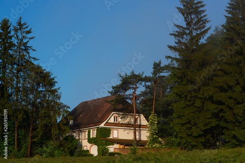 Traditional house on the beautiful forest landscape background. Summer time in Black Forest, Germany. Evergreen trees. Freiburg, Black Forest, Germany.
