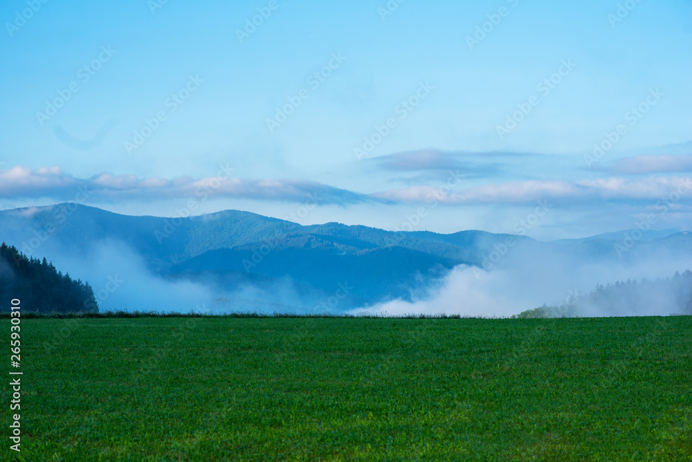 Early sunrise morning mist on meadow hills. Hilly landscape in a blue haze. Spectacular view a cloudy sky and ancient Black Forest. Concept of travel and holiday. Germany.