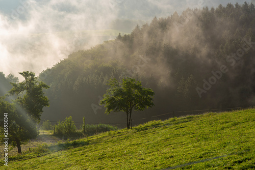 Scenic summer mountain landscape at sunrise with misty. View on the Black Forest in Germany. Foggy early morning over a summer green forest. Colorful dreamy travel background.