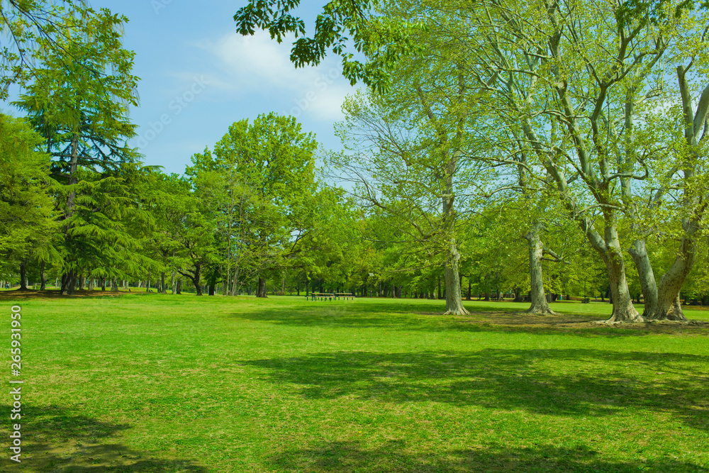 Green garden