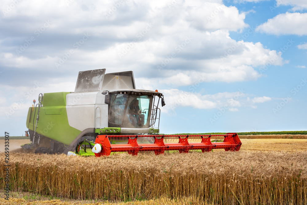 Combine harvester harvests golden wheat. Agriculture! Combine harvester harvests golden wheat. Agriculture!