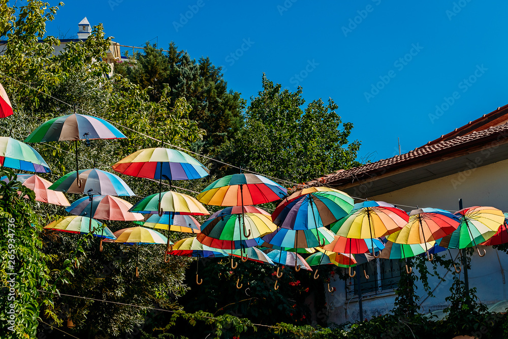 many beautiful multicolored umbrellas canes.