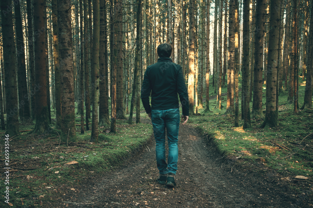 Male person walks alone in sunny forest landscape.