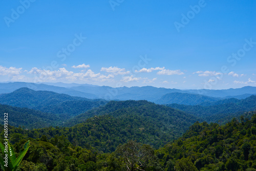 Hilly landscape in a blue haze to the horizon. Spectacular view a cloudy sky and lush tropical rainforest Cameron Highlands, Malaysia. Concept of travel and holiday. The concept of ecological tourism