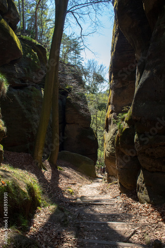 Rocky climb on a green path in spring in the sandstone Elbe Mountains in beautiful Saxon Switzerland near Bohemian Switzerland in Germany