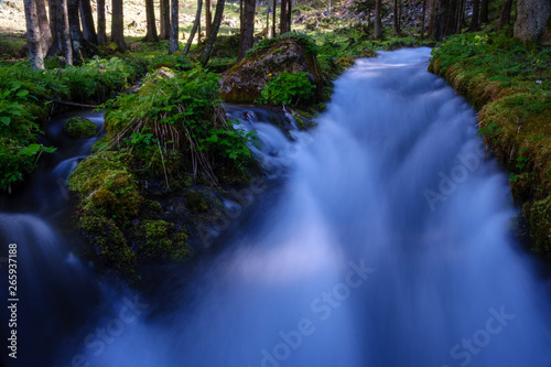 Clear wild mountain water streams in Karavanke