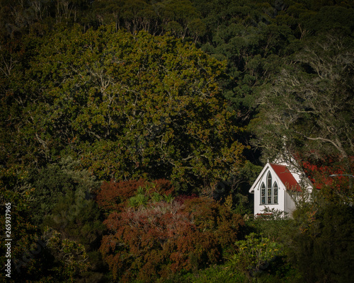 The Historic Saint James Church in Kerikeri New Zealand Surrounded by Trees in Autumn