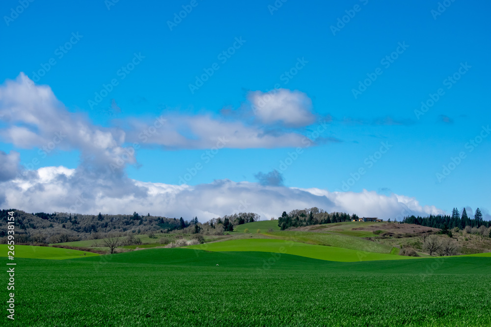 A view of farming fields in Oregon layered over hills under a bright blue sky with fluffy white clouds