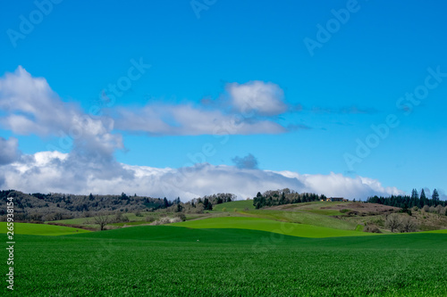 A view of farming fields in Oregon layered over hills under a bright blue sky with fluffy white clouds