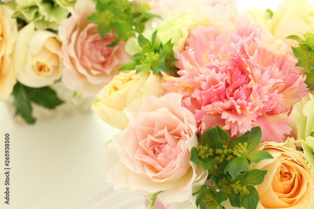 薔薇 カーネーション 背景 薔薇 カーネーション 背景
