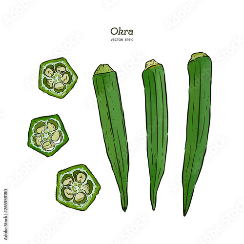 Okra, Hand draw sketch vector.