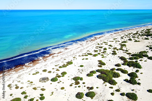 Coastal dunes in Australia photo