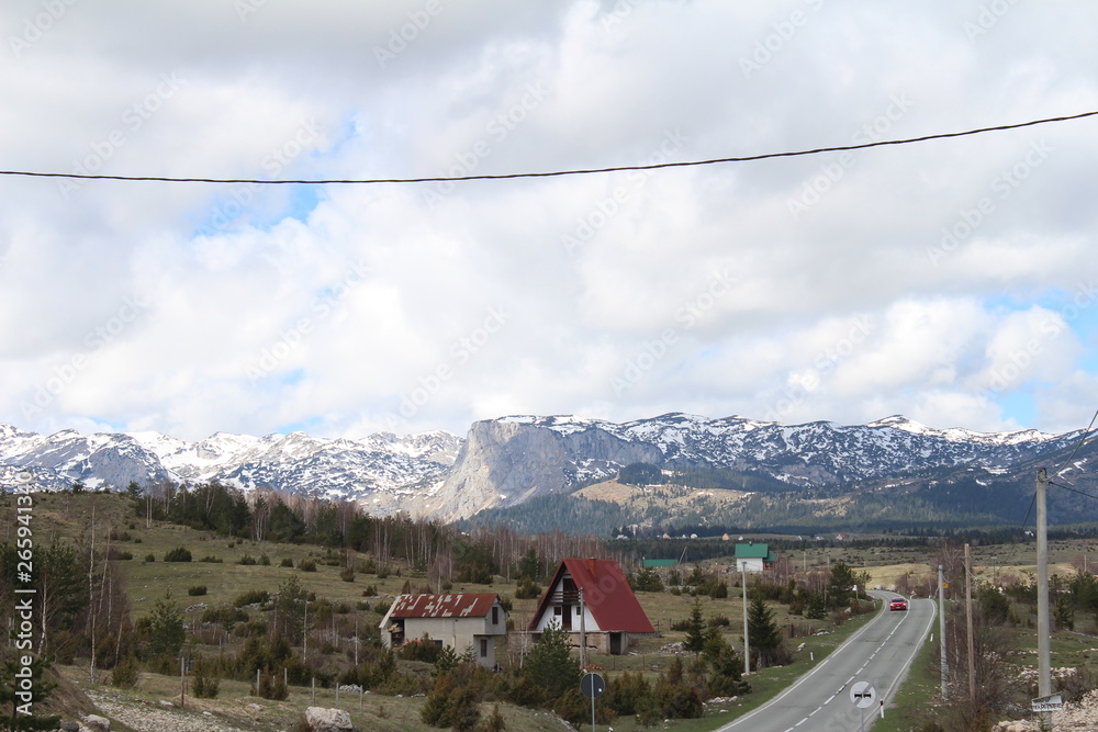 Panoramic view  from the beautiful green plateau of Zabljak mountain to the snowy Durmitor mountain, Montenegro