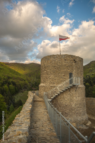 Obraz na płótnie Nowo odbudowany zamek w Rytrze ,Beskid Sądecki. w salonie