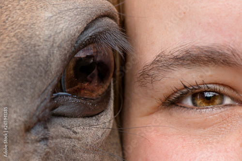 closeup of eye of woman and horse