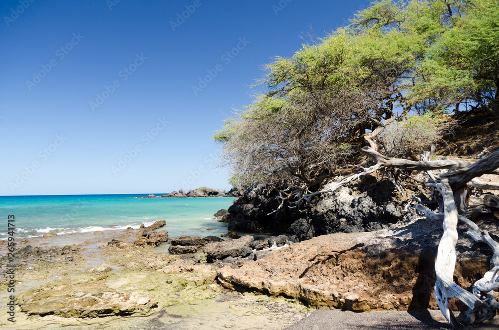 Fototapeta premium Between Wailalea Bay and Hapuna