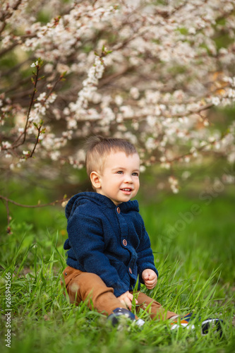 little boy sitting in the green grass