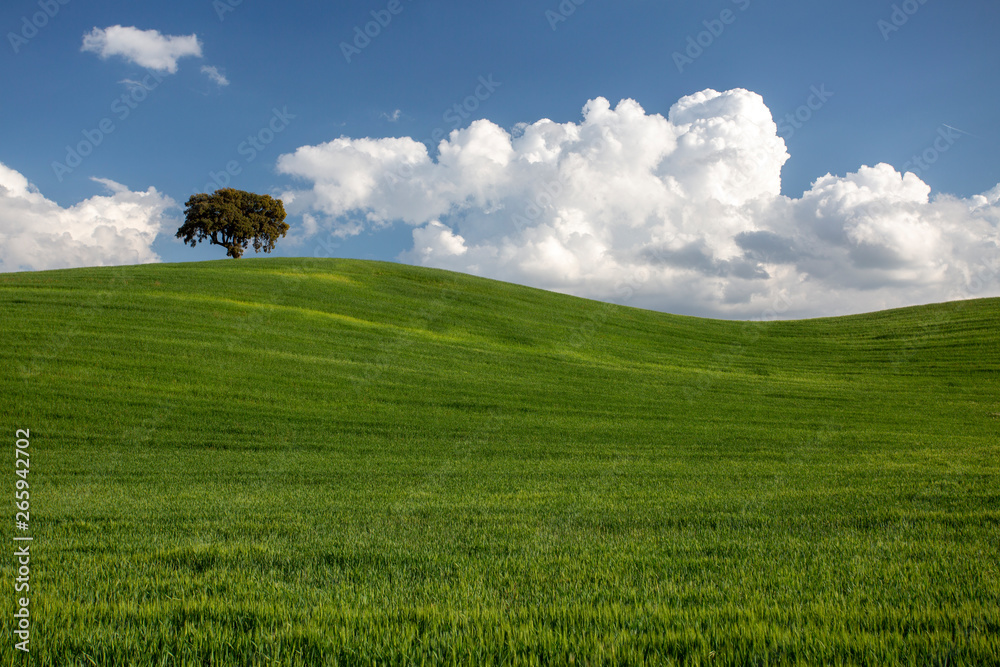 Fototapeta premium Paisaje de colinas, nubes y campos verdes