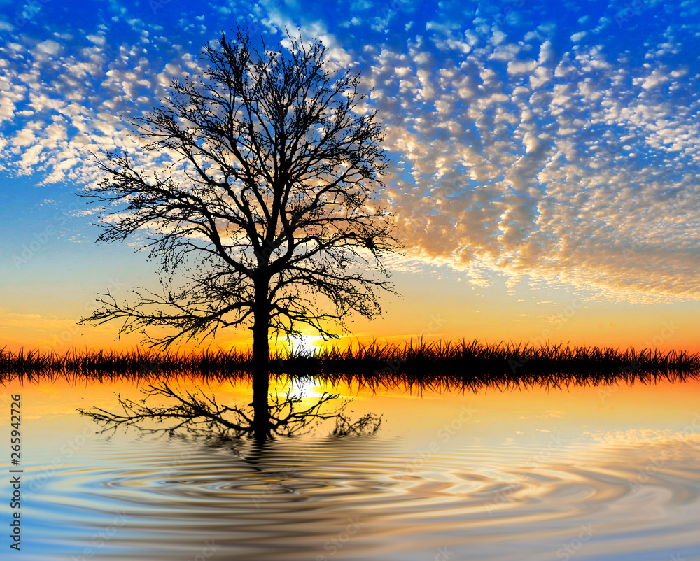 paisajes de un arbol reflejado en el agua del lago ilustración de Stock |  Adobe Stock