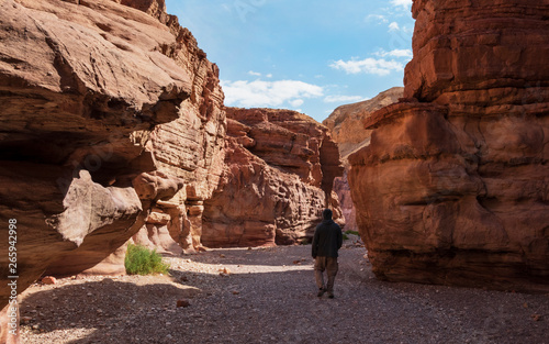 a solitary hiker exploring the red canyon in the eilat mountains in Israel near the east end of the narrow section of wadi shani