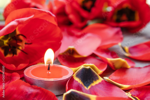 A red  burning candle is burning near the fallen petals of red tulips. The red candle is burning.