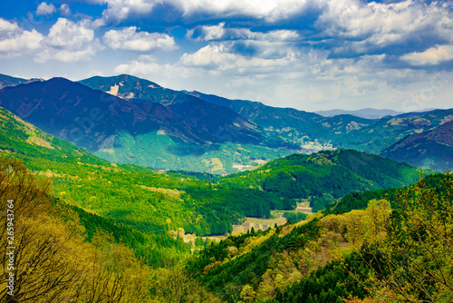 Fototapeta Naklejka Na Ścianę i Meble -  兵庫県中西部・山間の初夏、新緑の景色