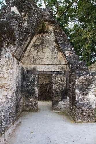 Fototapeta Naklejka Na Ścianę i Meble -  Mayan Temples in Tikal National Park, Peten, Guatemala, Central America