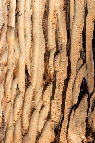 Dark brown wood background. Tree trunk without bark