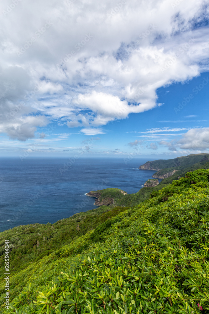 Flores Green Coastline Portrait Flores Green Coastline Portrait