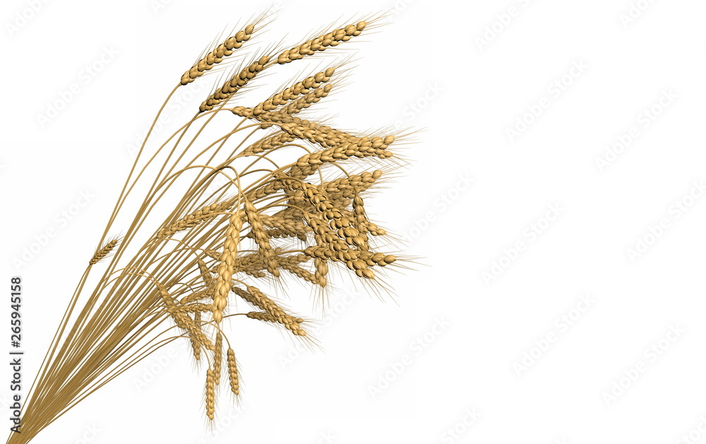 Fototapeta premium industrial 3D illustration of the modern bunch of wheat spikelets isolated on white background - agriculture