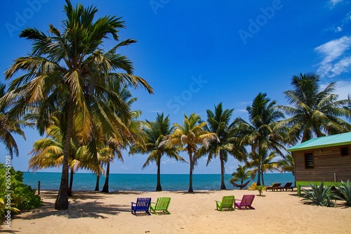 Beautiful sand beach in Hopkins, Belize, Central America photo
