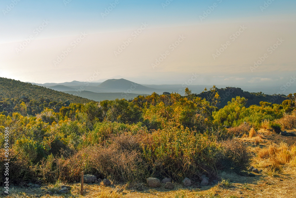 Obraz premium Grassland against a mountain background, Mount Kilimanjaro, Tanzania