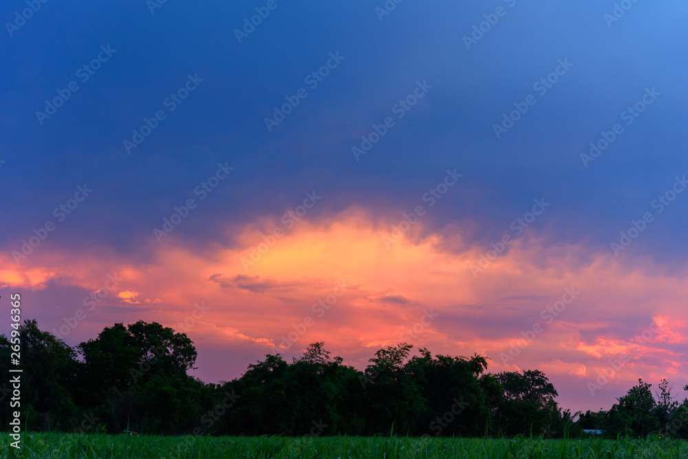 Sunset sky at the mountain forest Sunset sky at the mountain forest