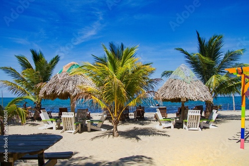 Beautiful beach with palms in Placencia  Belize  Central America