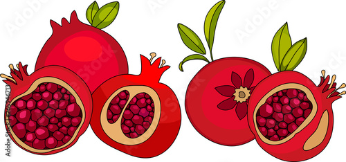 Fototapeta Naklejka Na Ścianę i Meble -  red pomegranate fruit, several fruits vector illustration