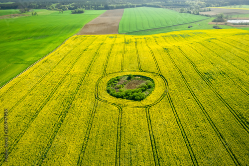 Flying above green and yellow rape fields in Poland